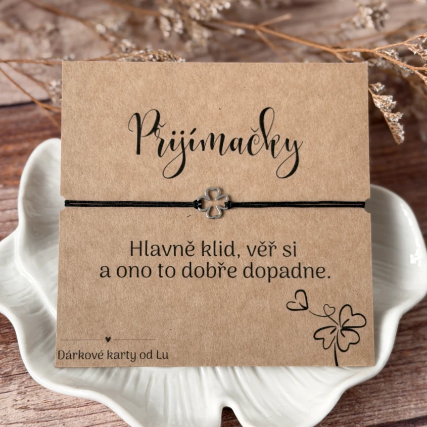 Čtyřlístek pro štěstí k přijímačkám